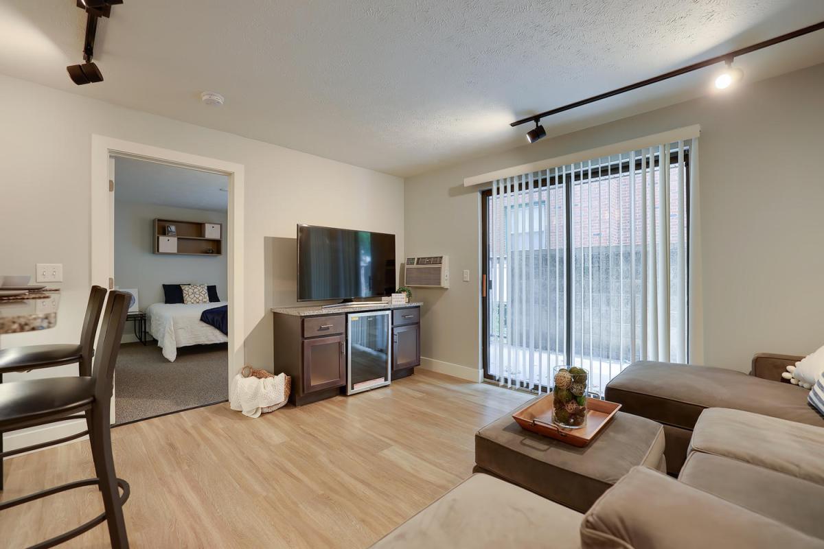 Apartment Living Room