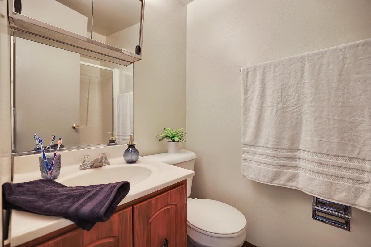 Apartment Bathroom