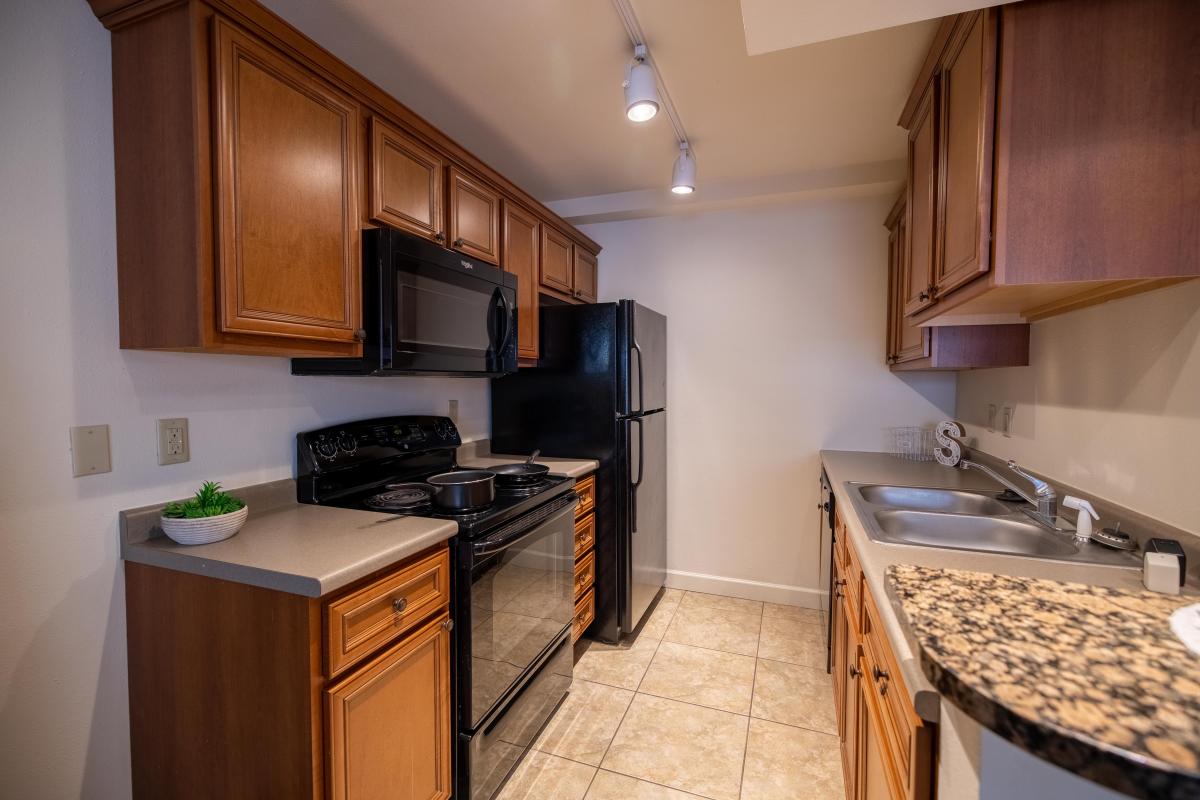 Apartment Kitchen