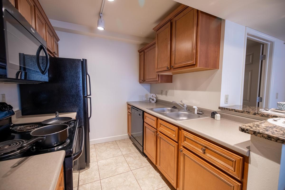 Apartment Kitchen
