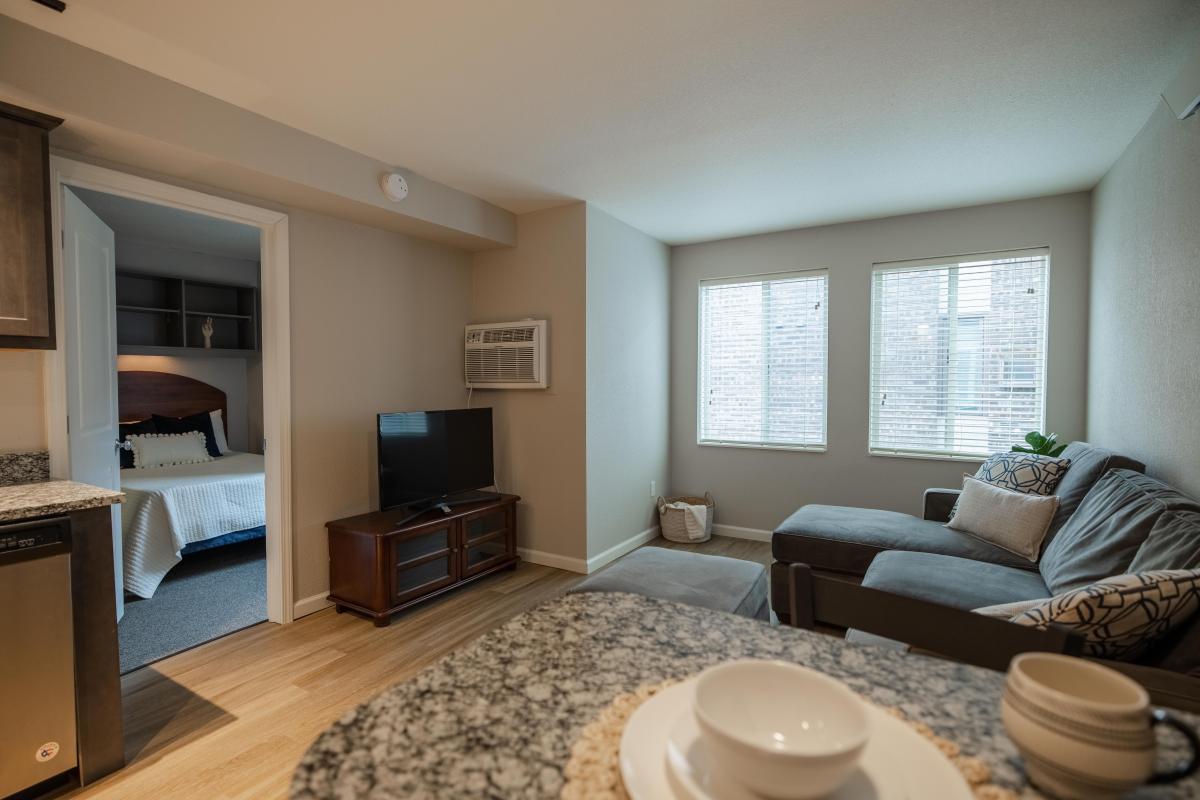 Apartment Living Room