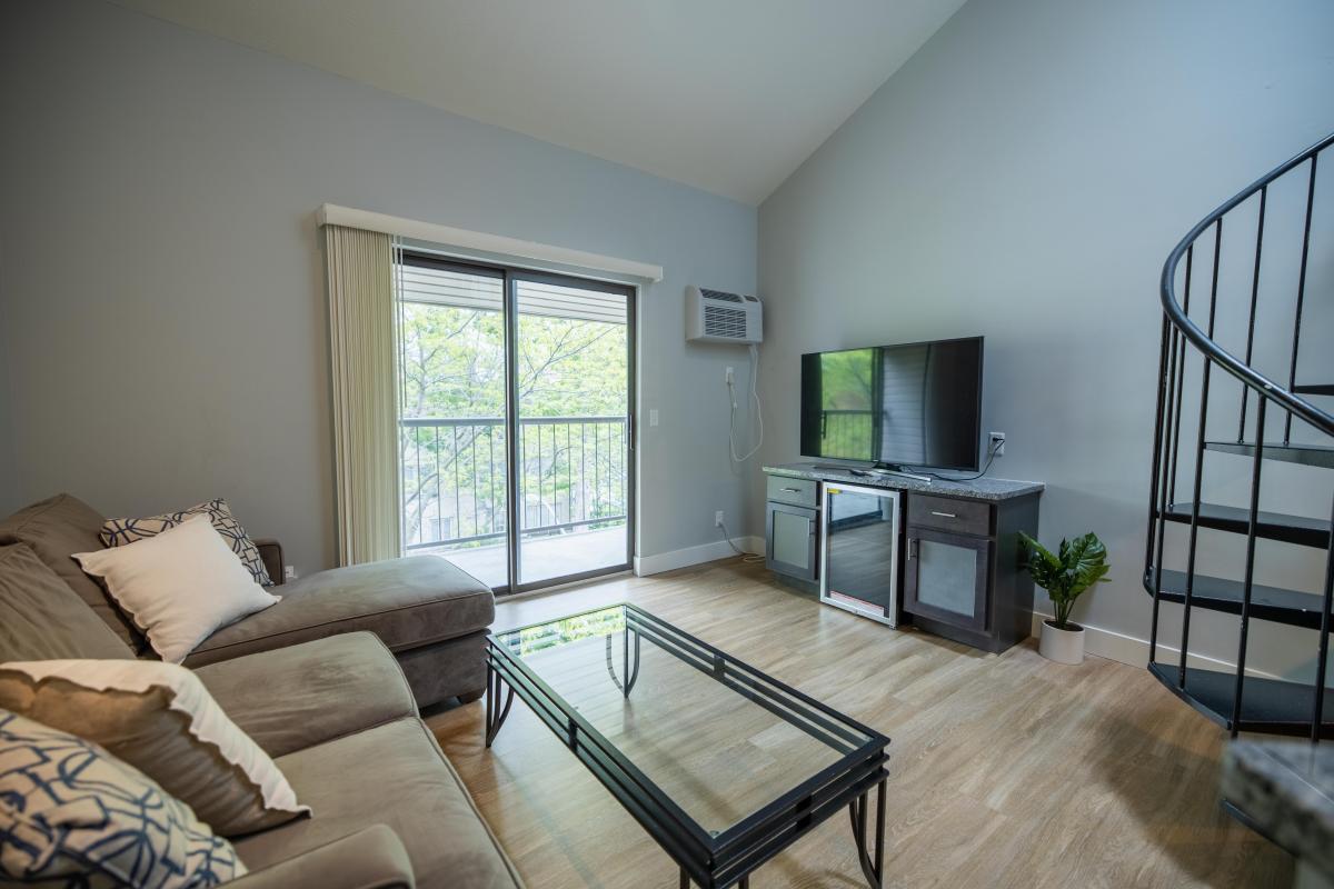 Apartment Living Room