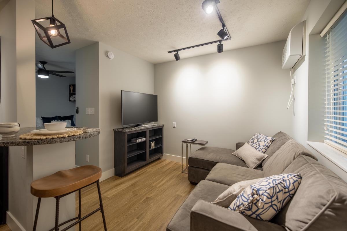 Apartment Living Room