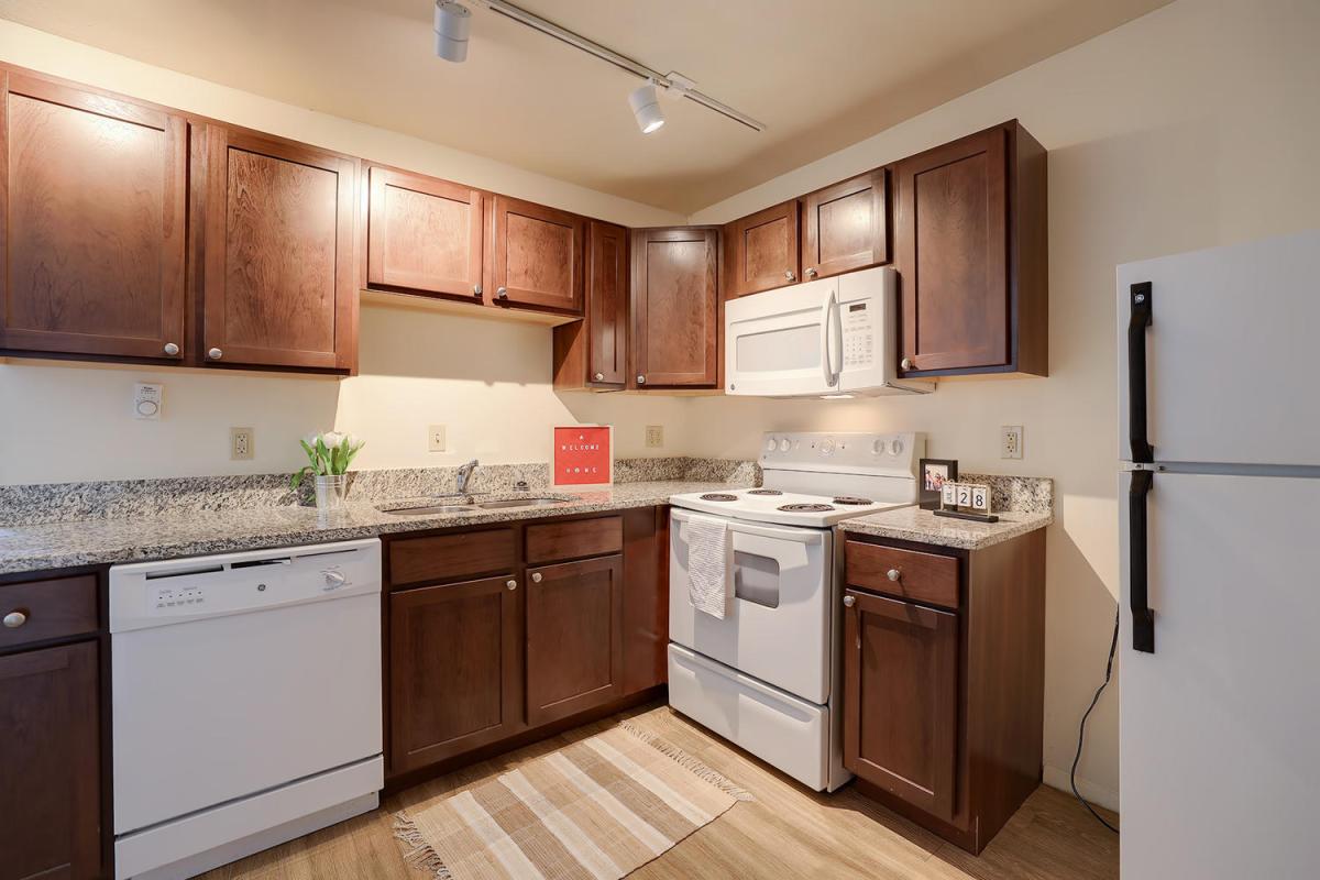Apartment Kitchen