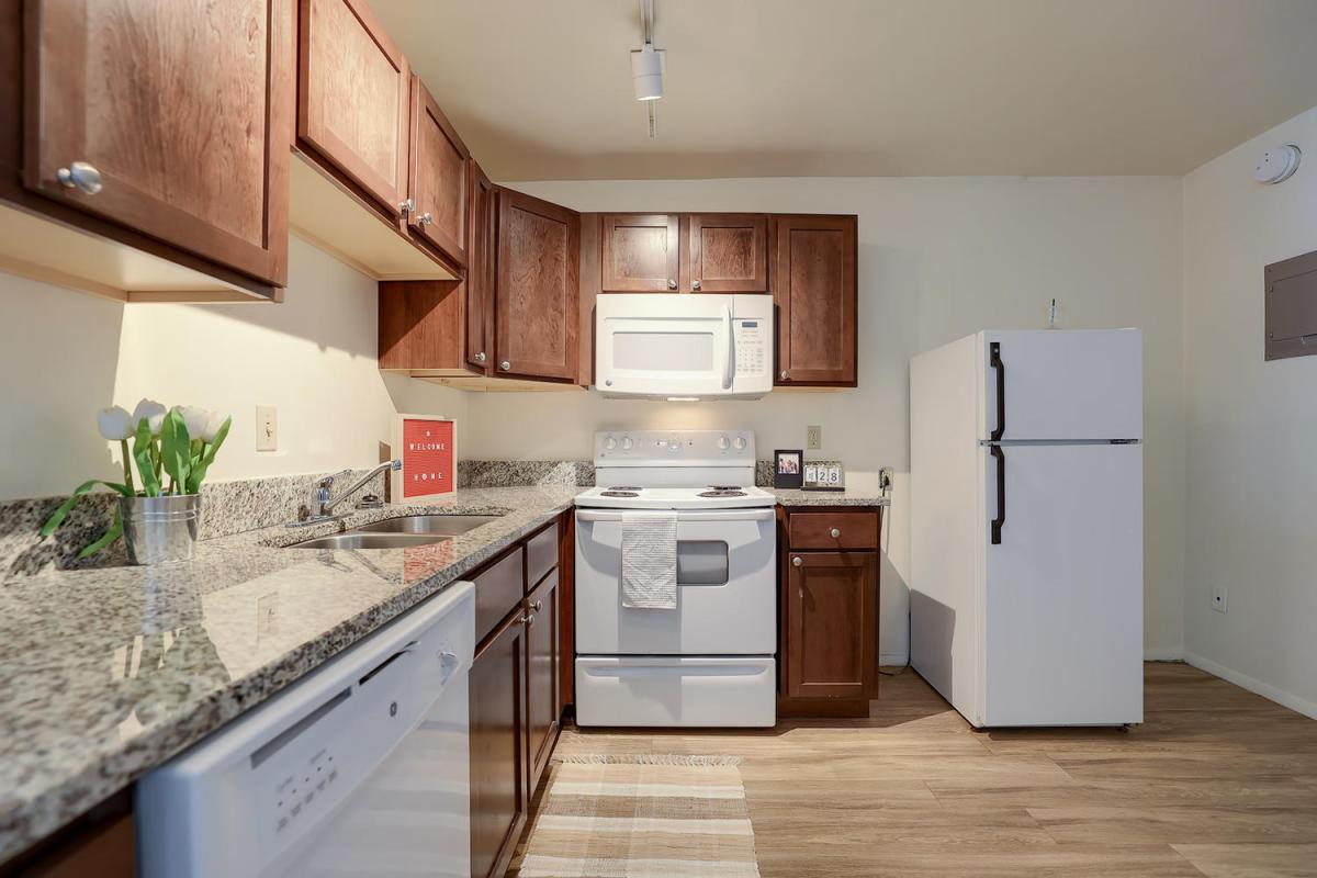 Apartment Kitchen