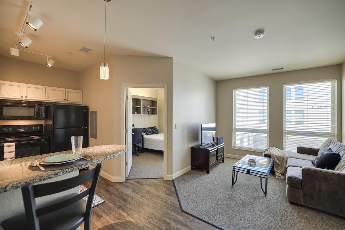 Apartment Living Room