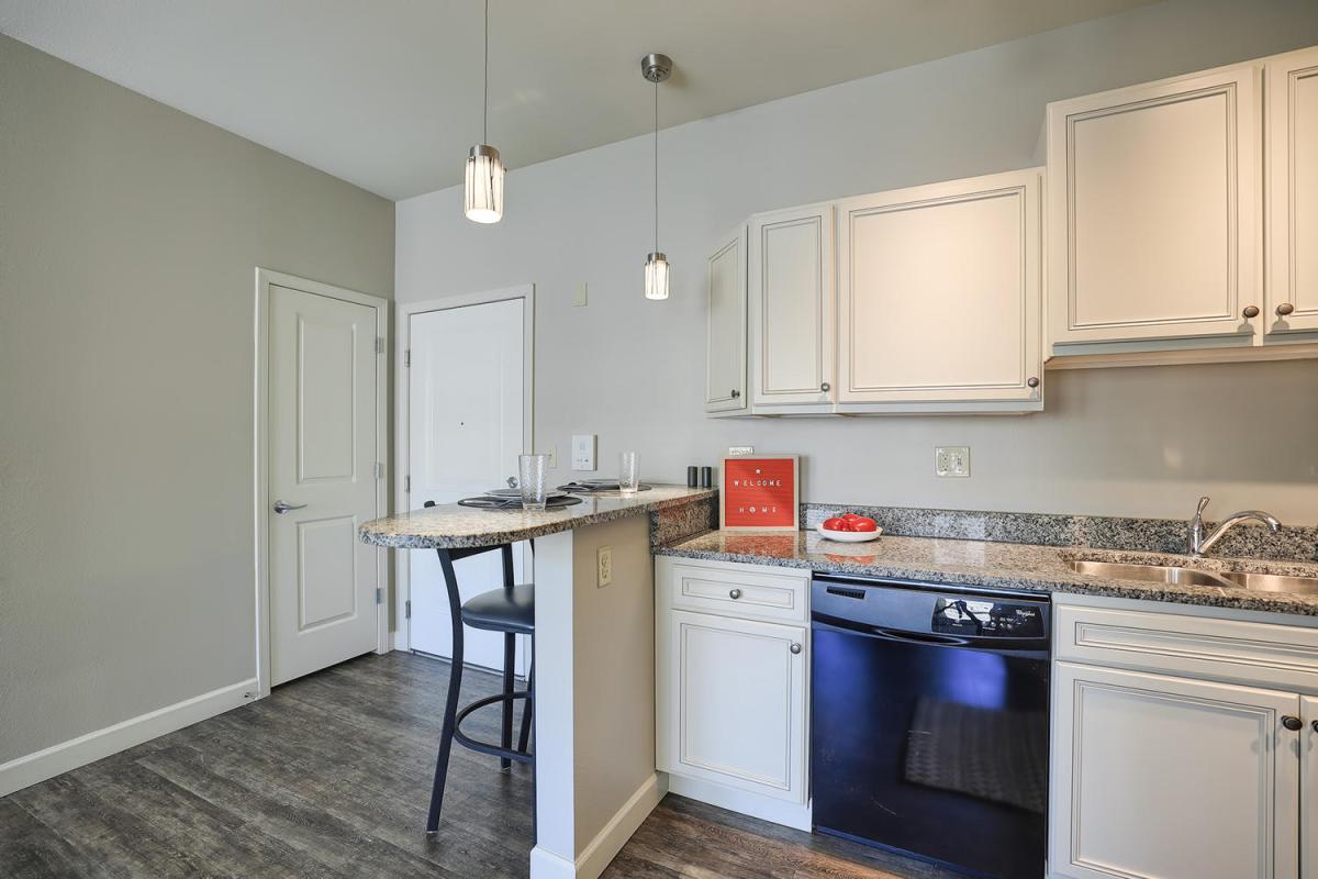 Apartment Kitchen