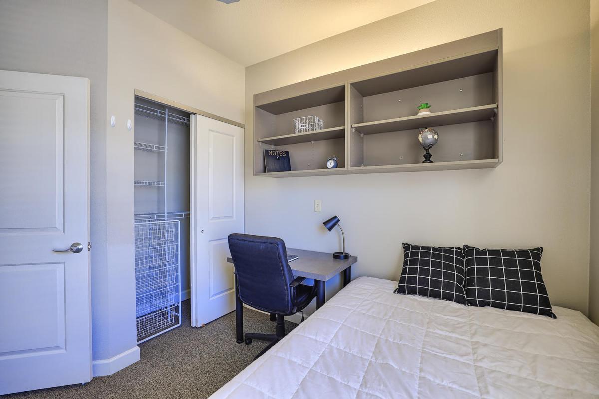 Apartment Living Room