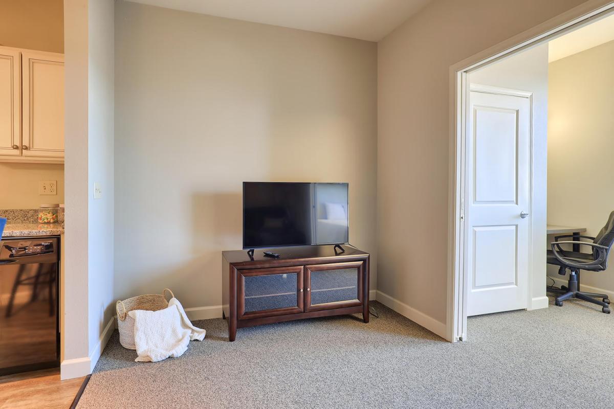 Apartment Living Room