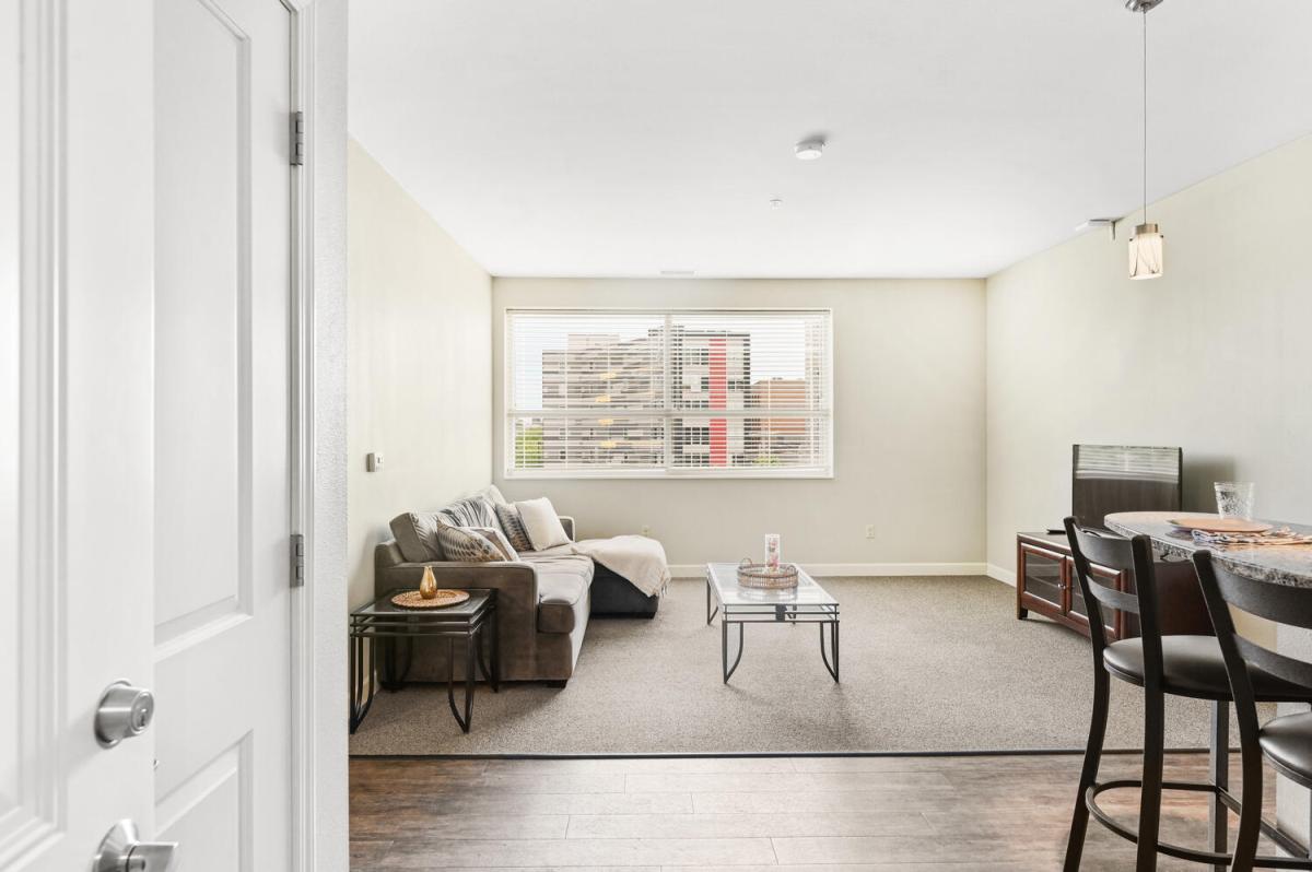 Apartment Living Room