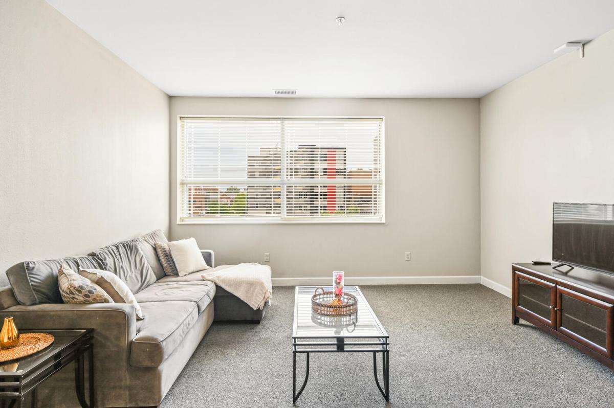Apartment Living Room