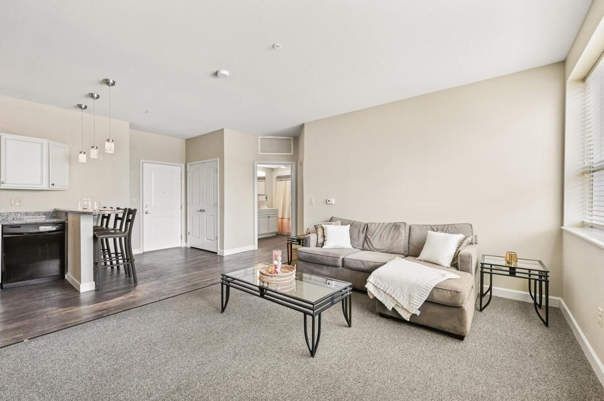 Apartment Living Room