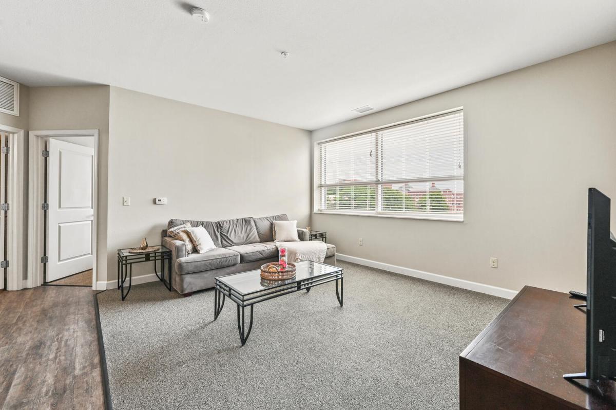 Apartment Living Room