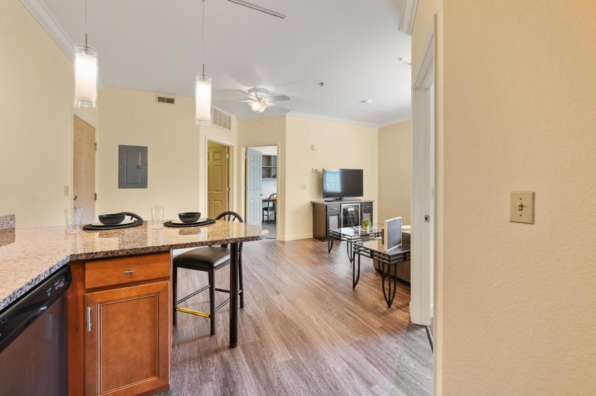Apartment Kitchen