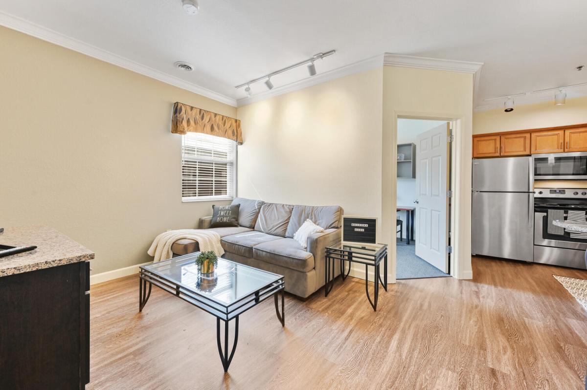 Apartment Living Room 