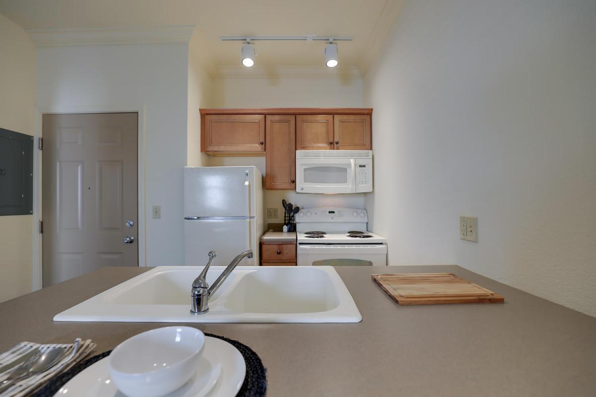 Apartment Kitchen
