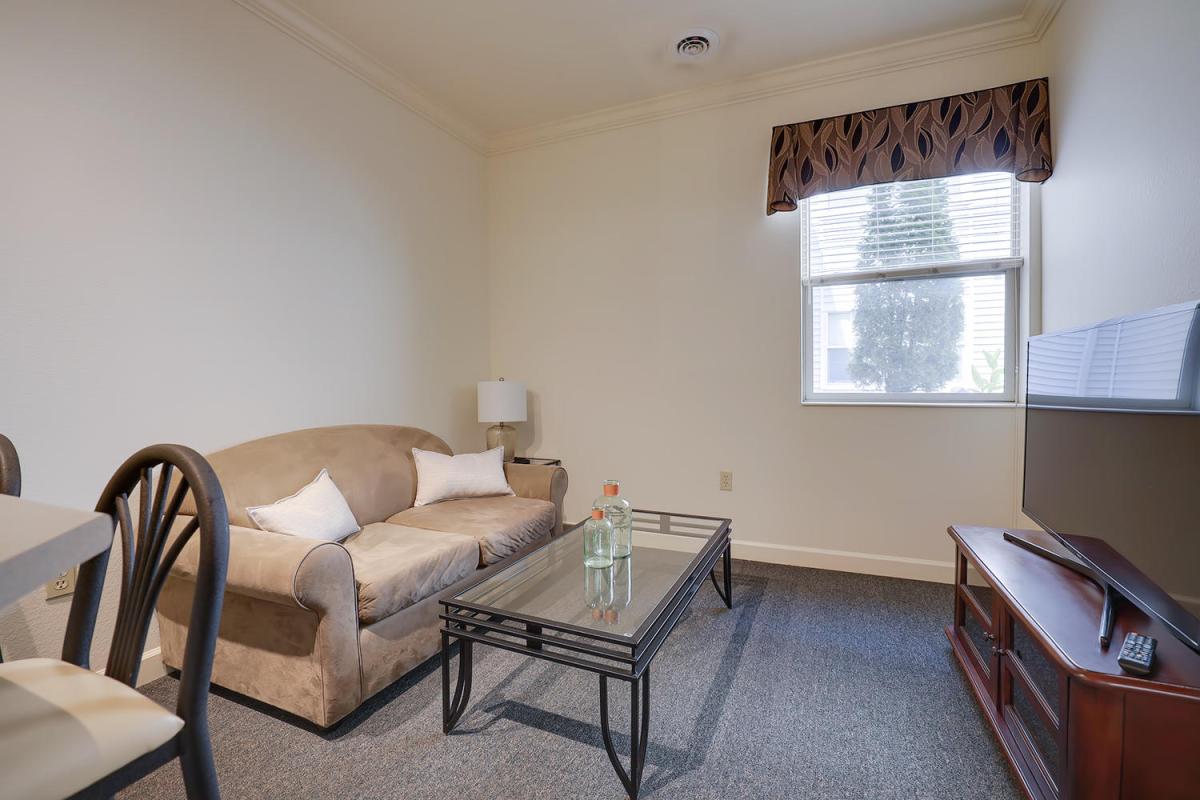 Apartment Living Room