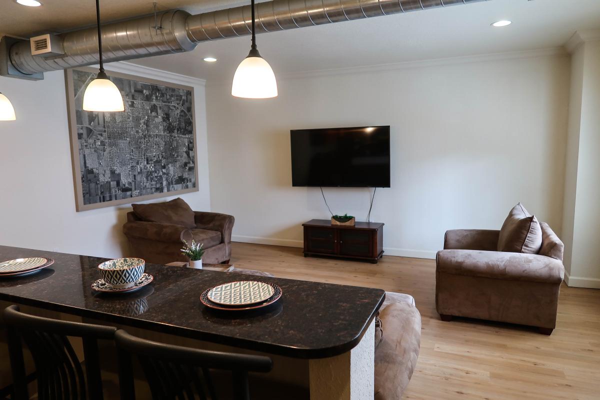 Apartment Living Room