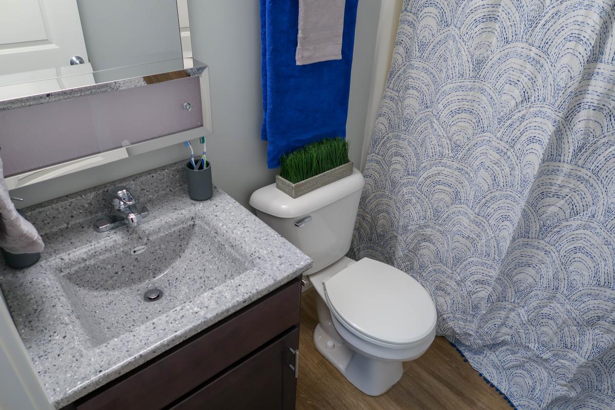 Apartment Bathroom