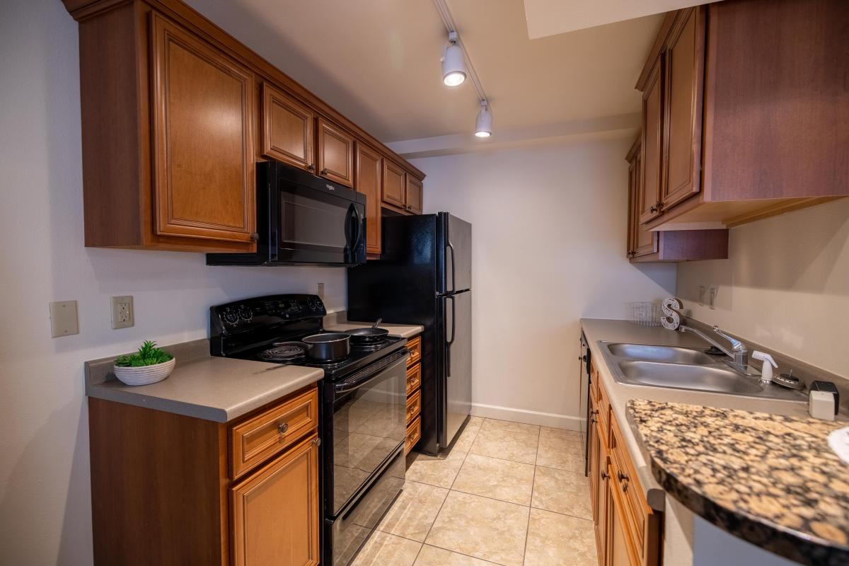 Apartment Kitchen
