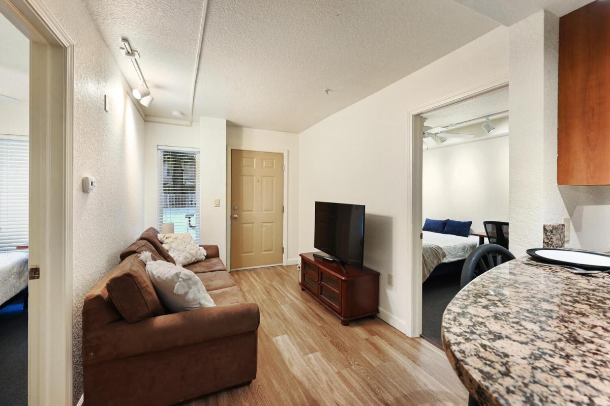Apartment Living Room