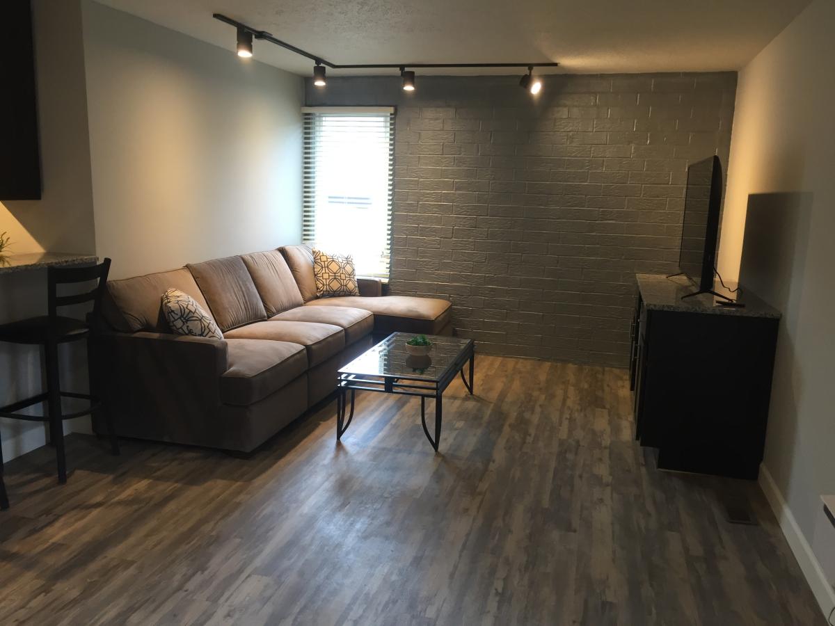 Apartment Living Room