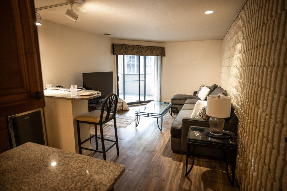 Apartment Living Room