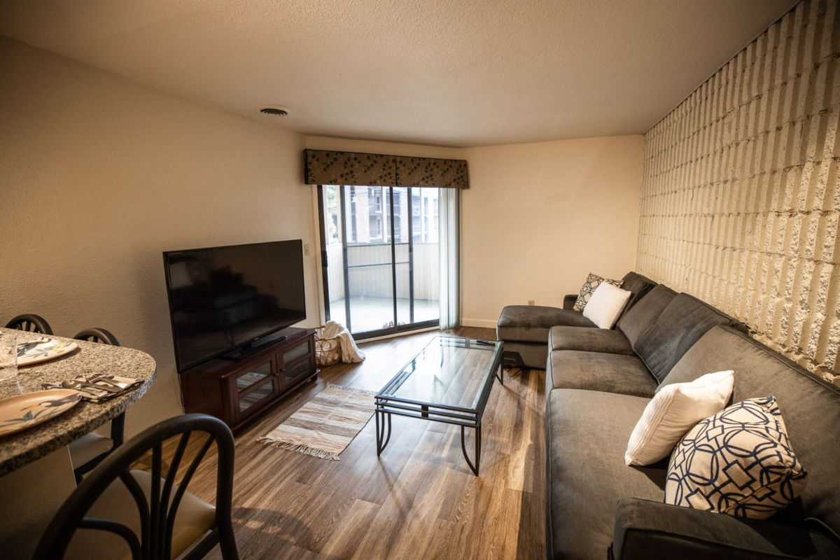 Apartment Living Room
