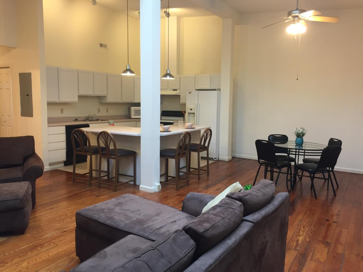 Apartment Living Room