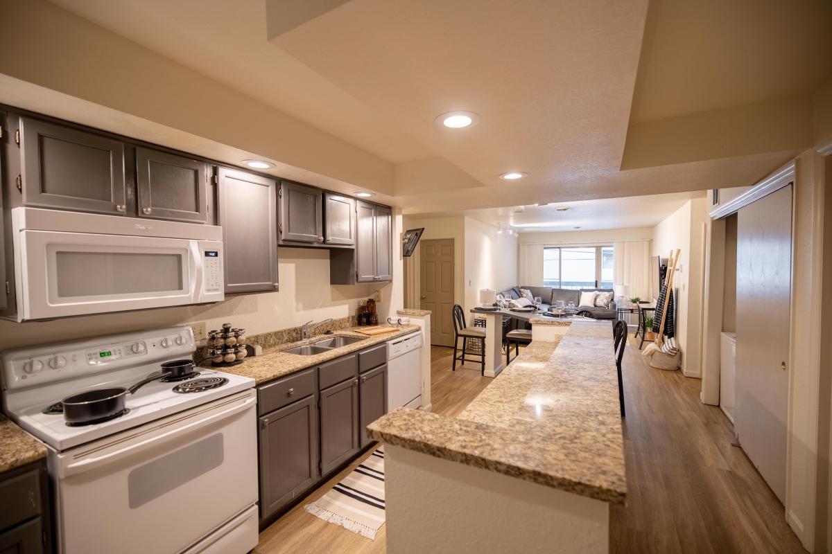 Apartment Kitchen