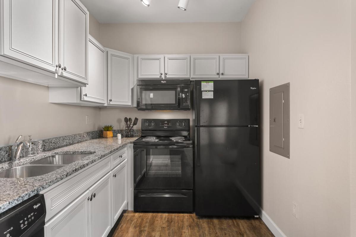 Kitchen Stove and Refrigerator