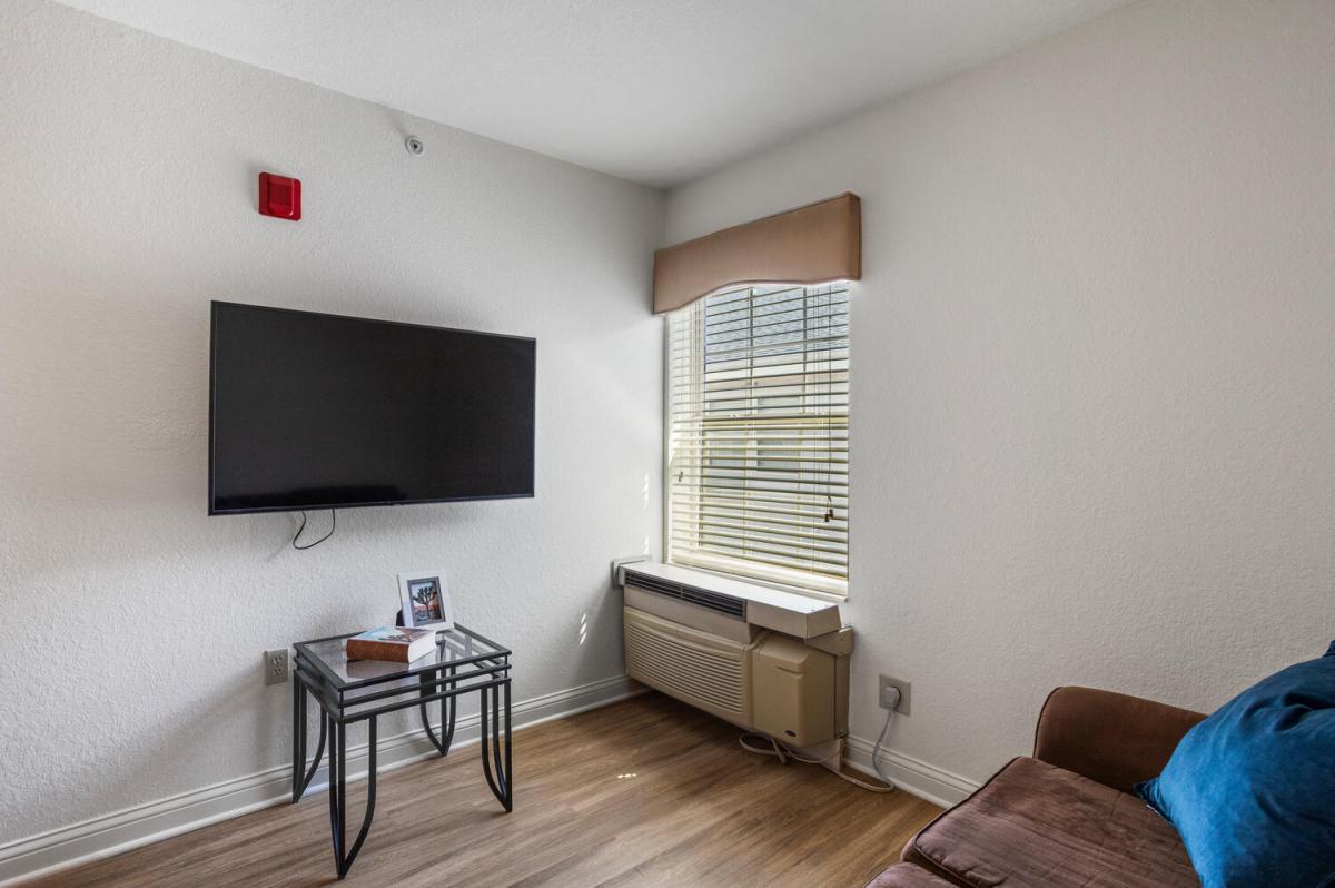 Living Room and Television