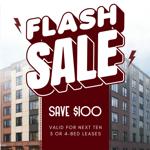 Flash Sale